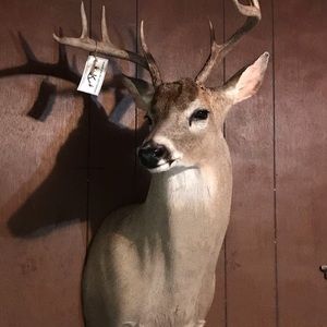 Meet your Posher, Cody